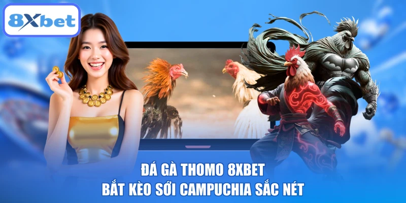 Đá Gà Thomo 8XBET Bắt Kèo Sới Campuchia Sắc Nét